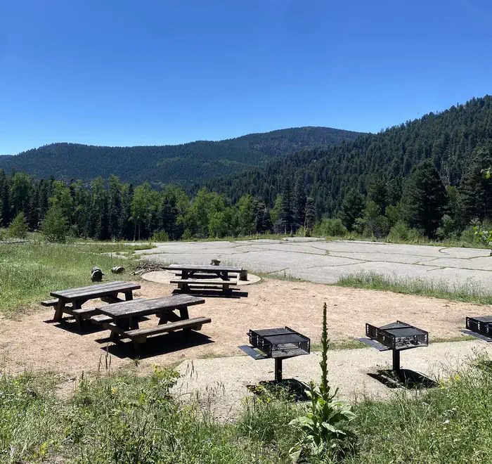 Site B with picnic table, campfire ring, and parking