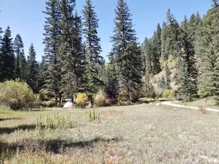 Meadow in Panchuela Campground