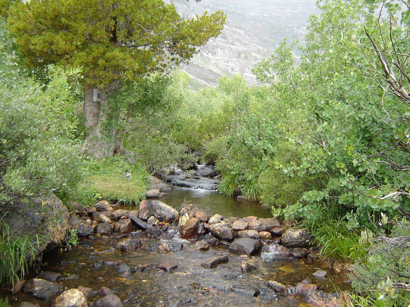 The creek flowing out of Angel Lake, just below the lake near the campground