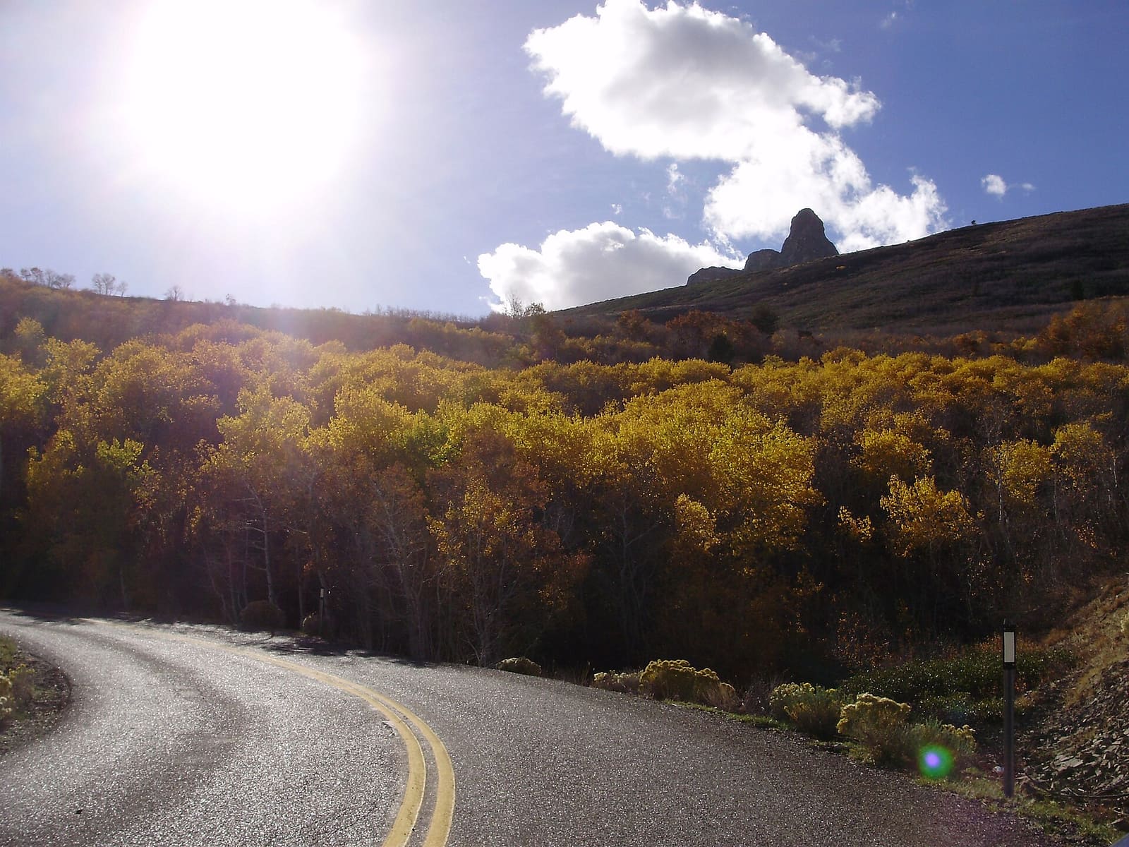Autumn aspens along Angel Lake Road (Nevada State Route 231), the paved road up to the campground