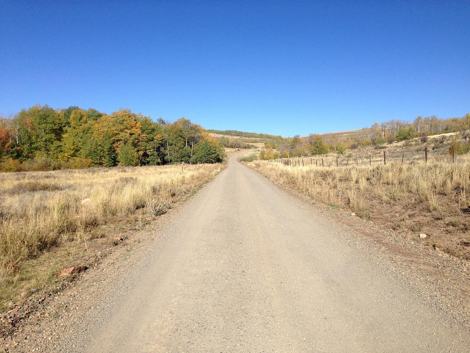 Gold Creek Road in autumn about a mile south of Big Bend Campground