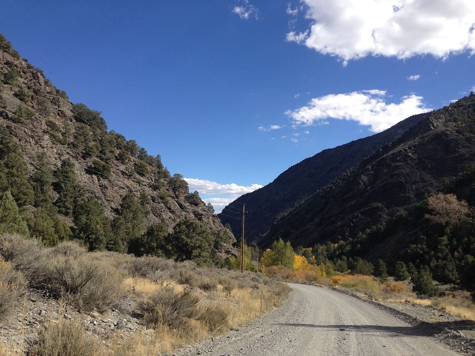 Kingston Canyon Road at about 7,020 feet, less than half a mile from the campground