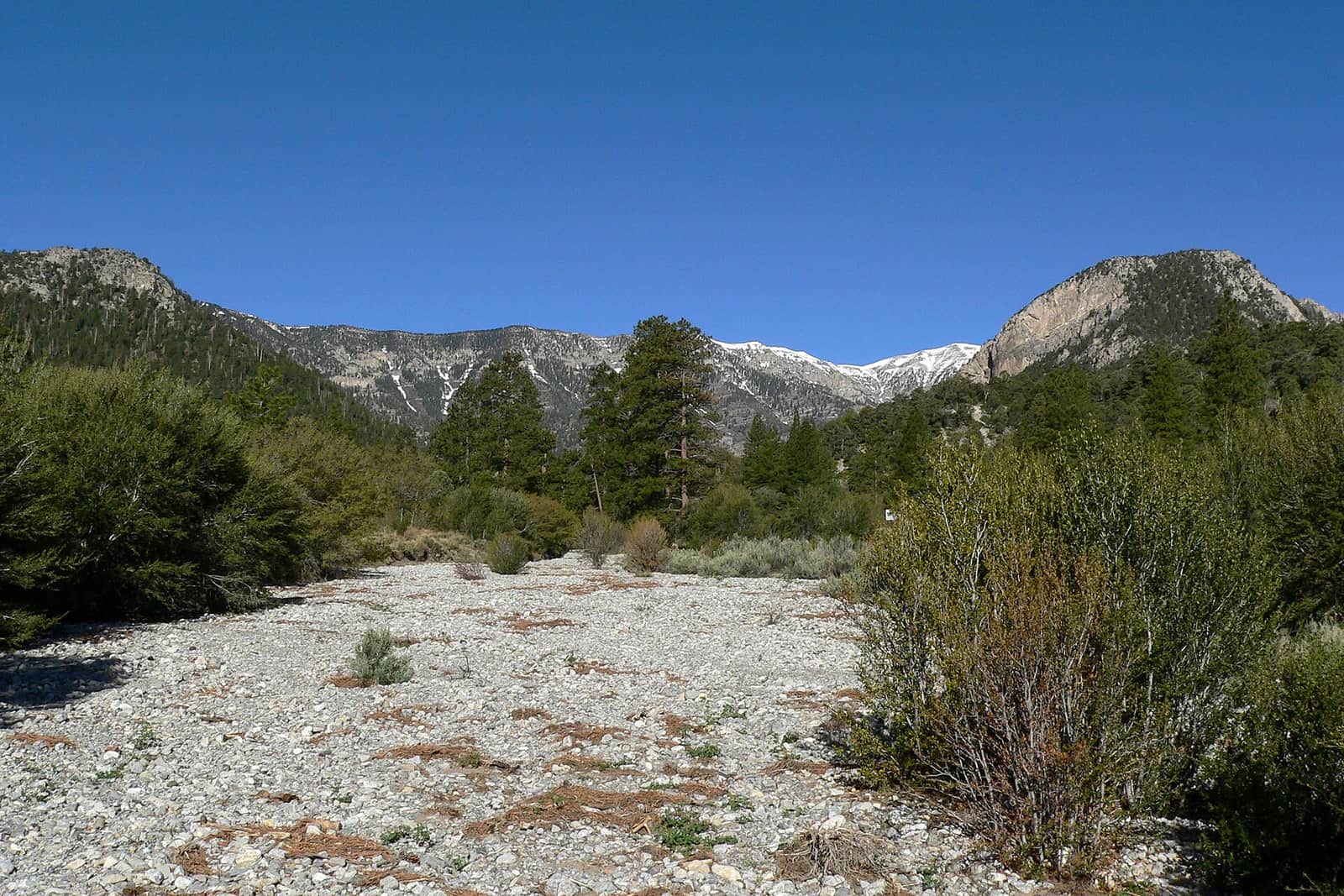 The Kyle Canyon wash near the junction of State Routes 157 and 158, close to the campground, with the Spring Mountains behind