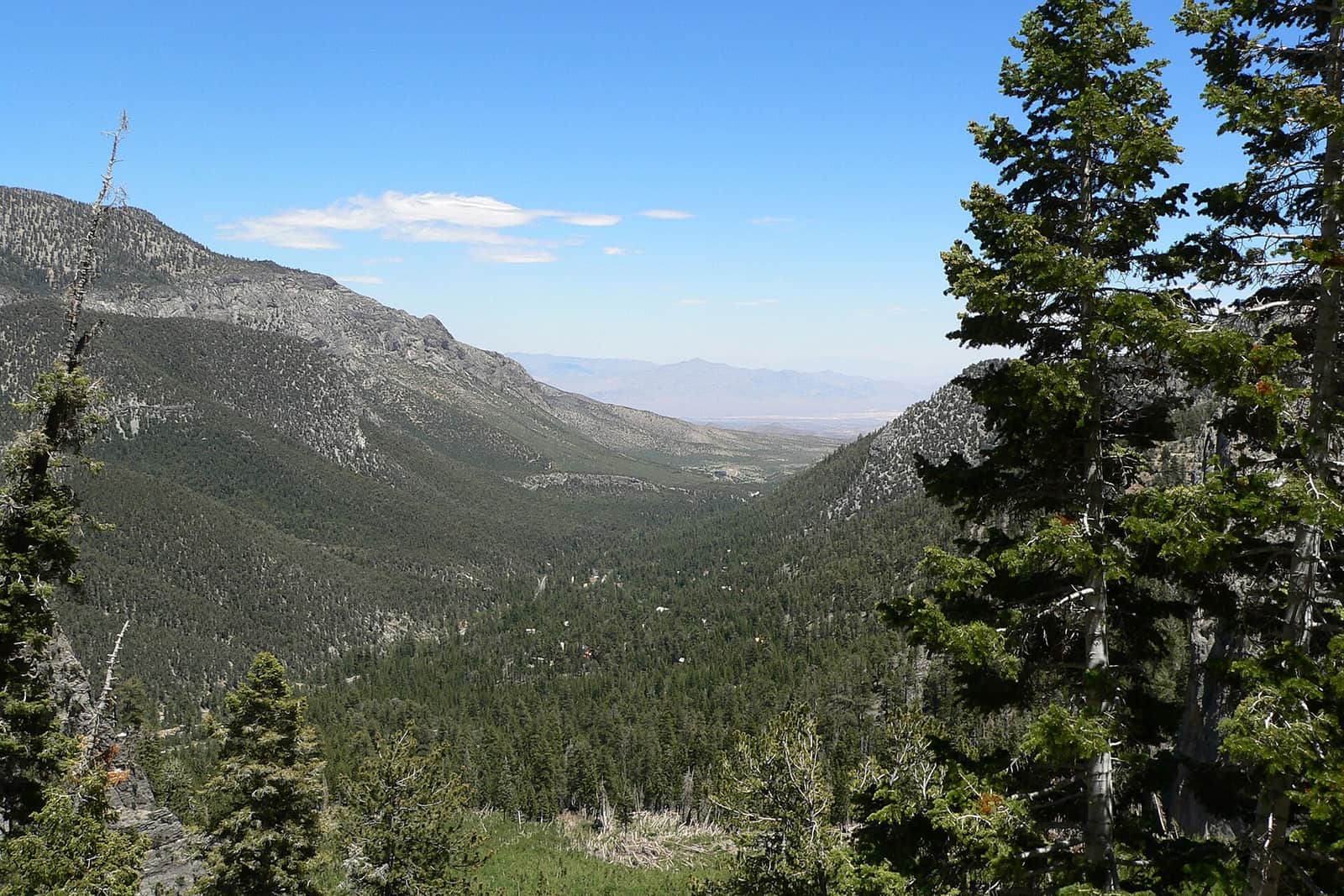 Looking down Kyle Canyon from the Cathedral Rock trail, upcanyon from the campground