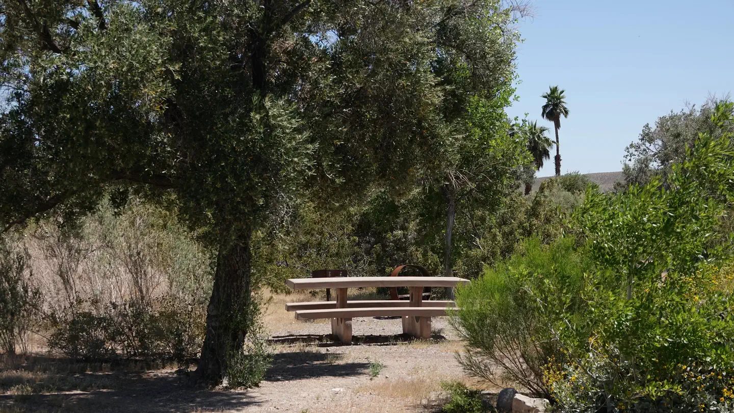 Las Vegas Bay Campground offers shade trees and an enjoyable camping experience away from the lights of the city
