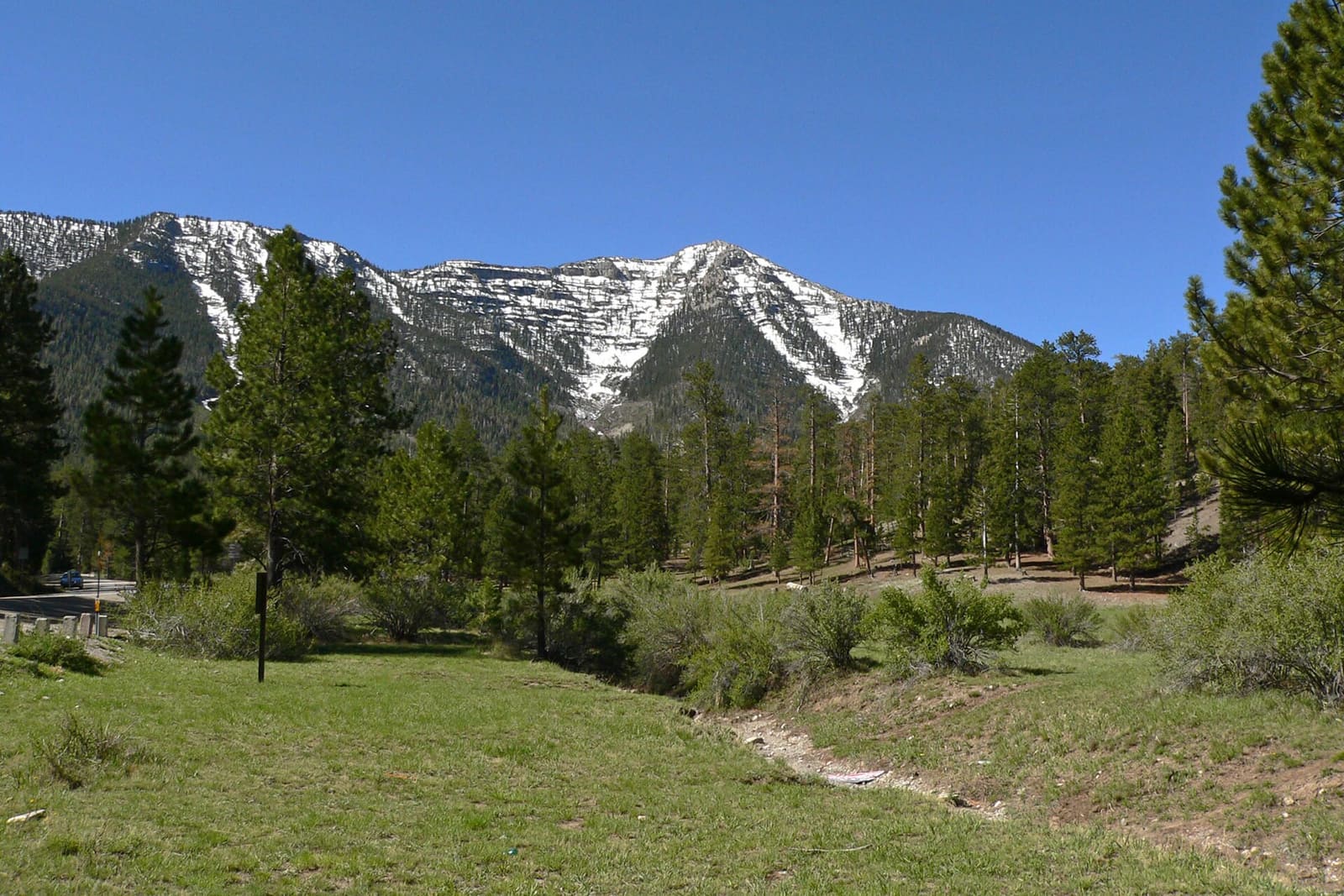 A snow-streaked peak above upper Lee Canyon seen from a meadow in the canyon, near McWilliams Campground