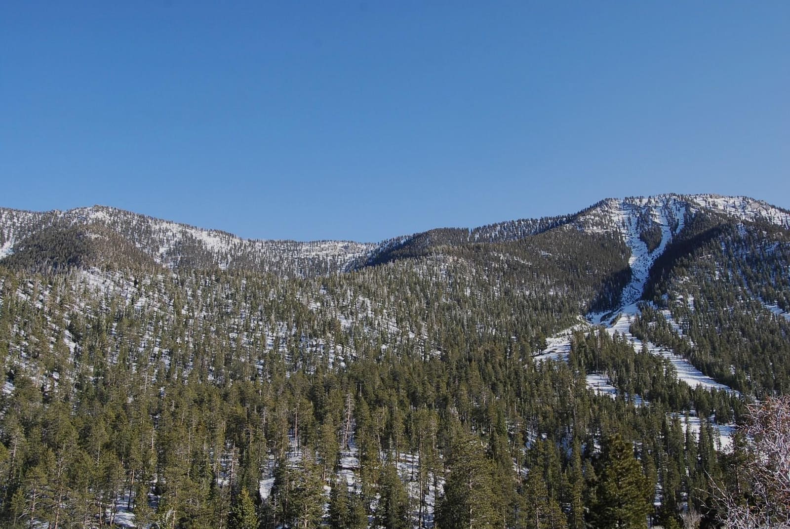 Snow on the Spring Mountains in the Humboldt-Toiyabe National Forest, which the campground sits inside