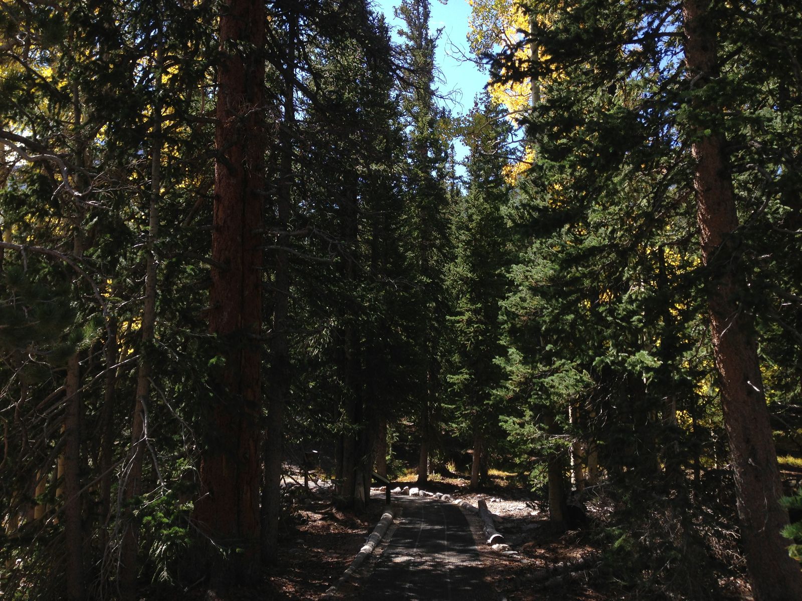 The Bristlecone-Alpine Lakes trailhead at Wheeler Peak Campground