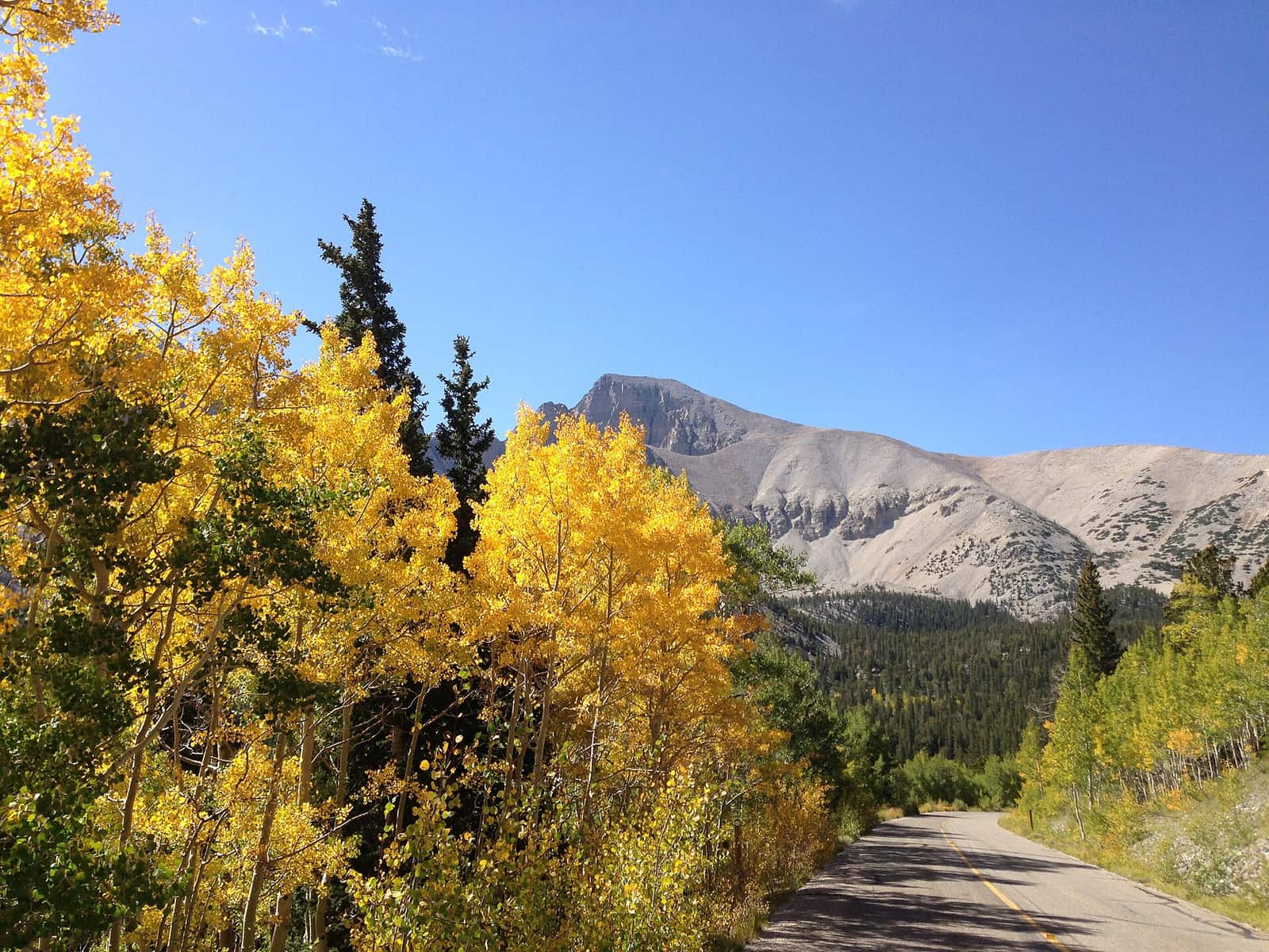 Wheeler Peak and autumn aspens from the Wheeler Peak Scenic Drive, the road that ends at the campground
