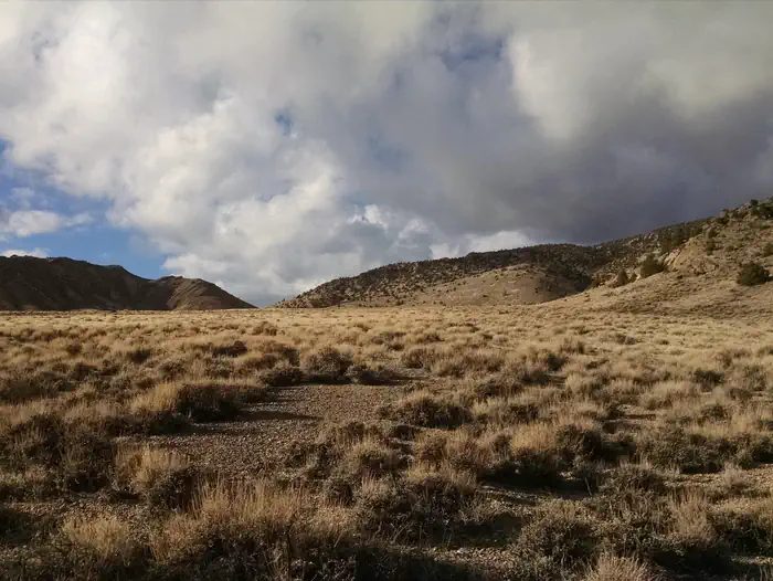Sage and clouds at the foot of the Snake Range