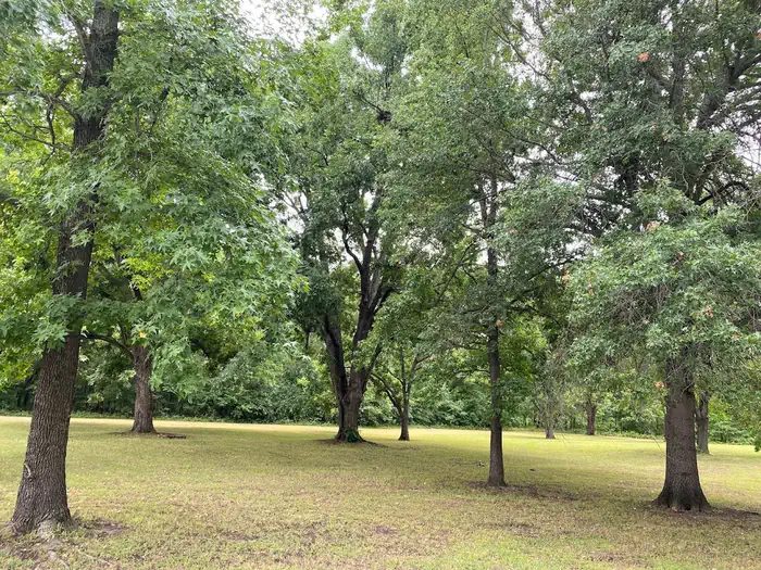 Great primitive campsites