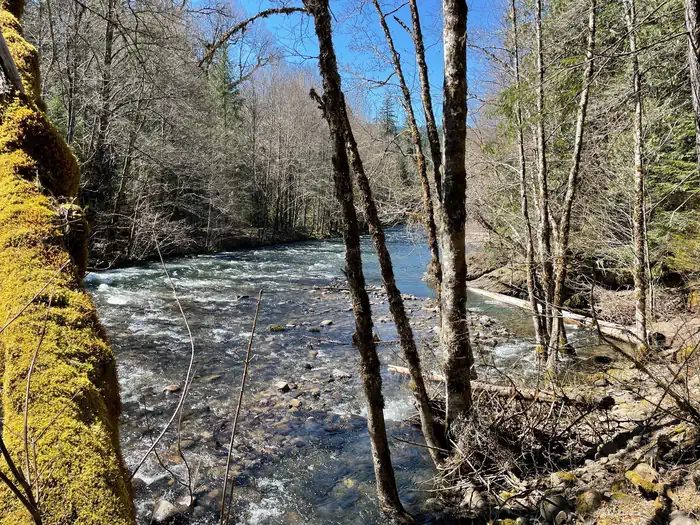 The Middle Fork River runs alongside the campground, with several sites located right on the bank of the river