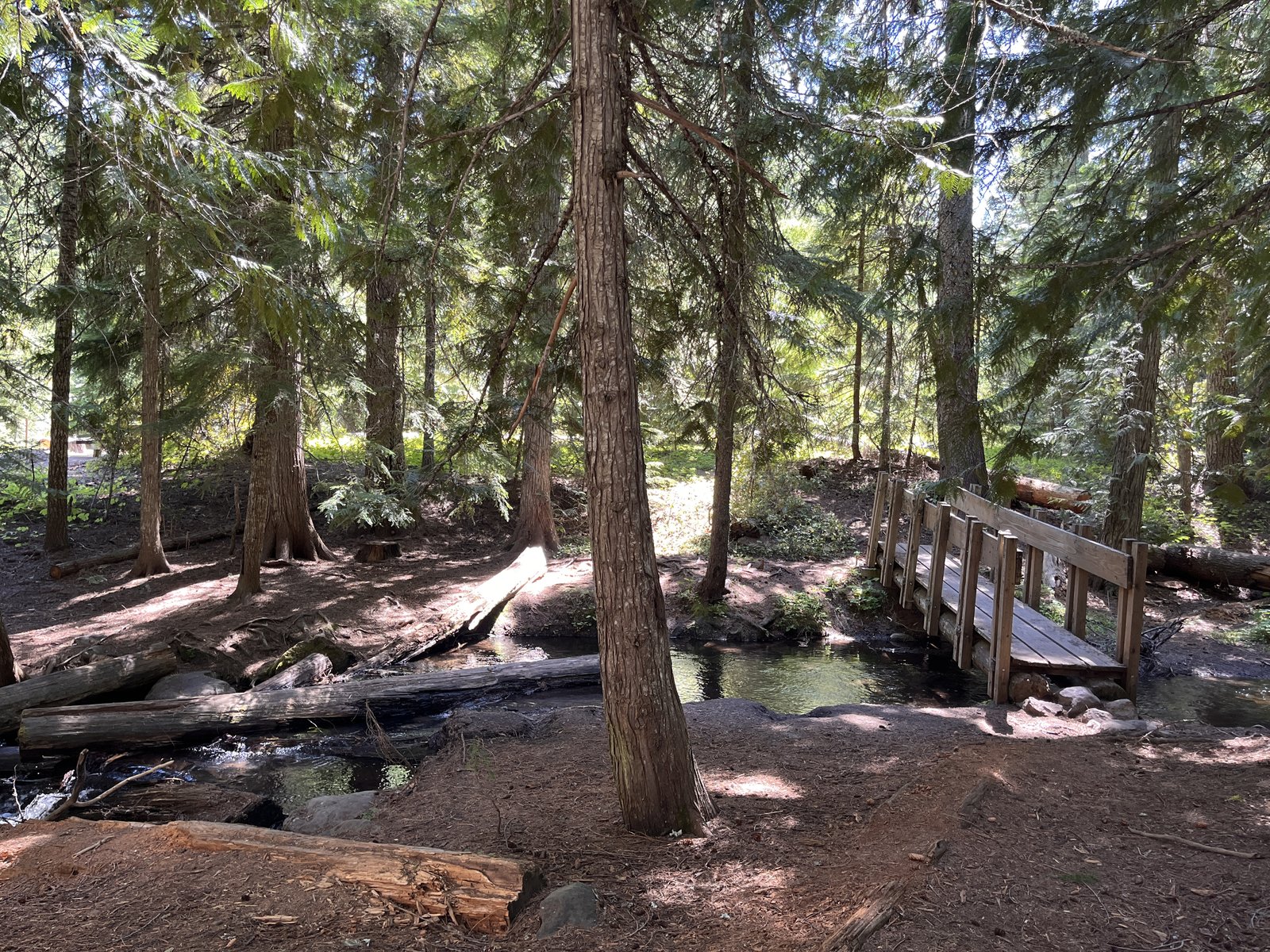 A campsite at Eightmile Campground