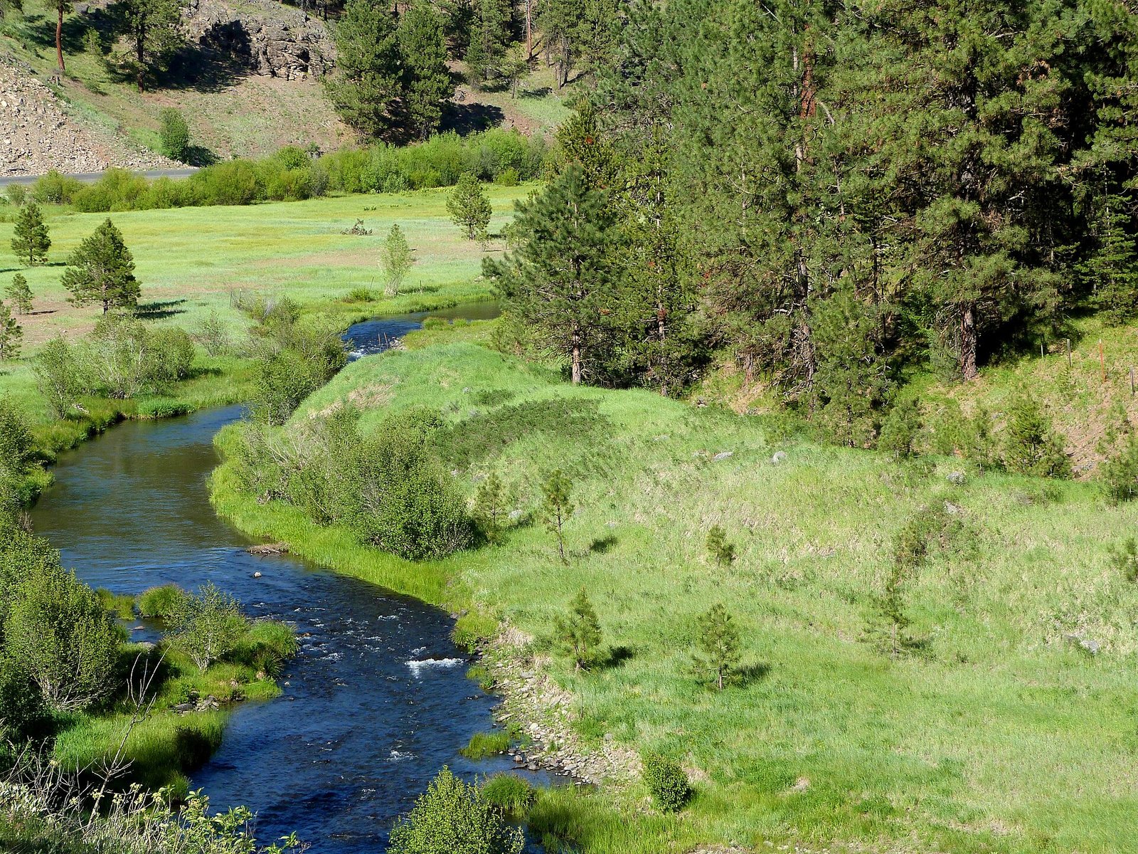 The Middle Fork John Day River beside an old Sumpter Valley Railway grade, about 2 km from the campground