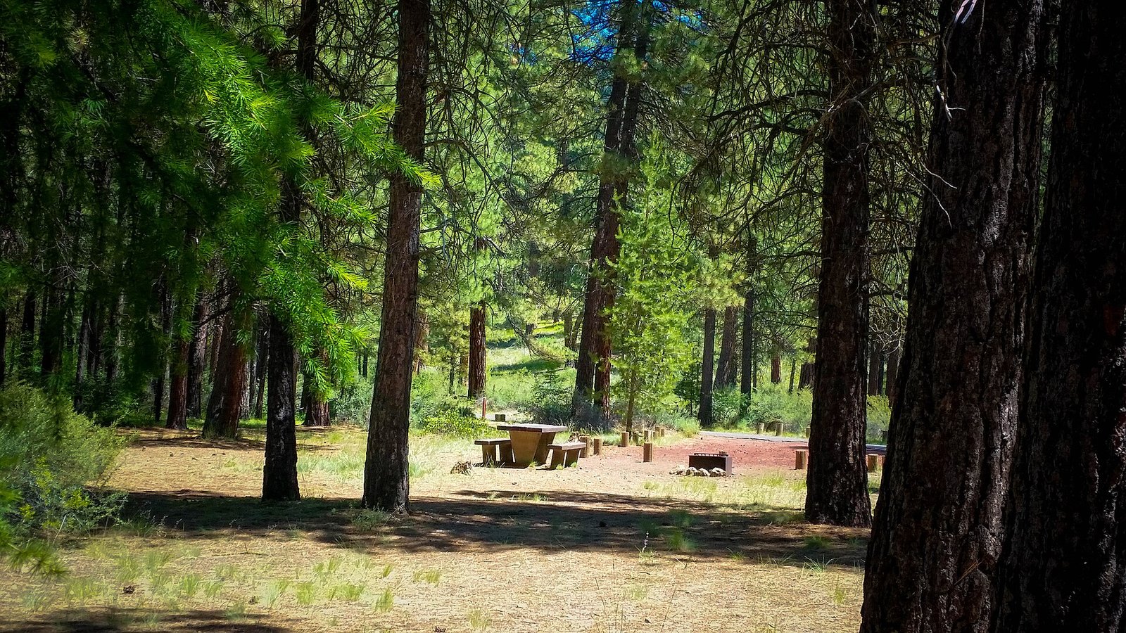 A campsite at Smiling River Campground along the Metolius River