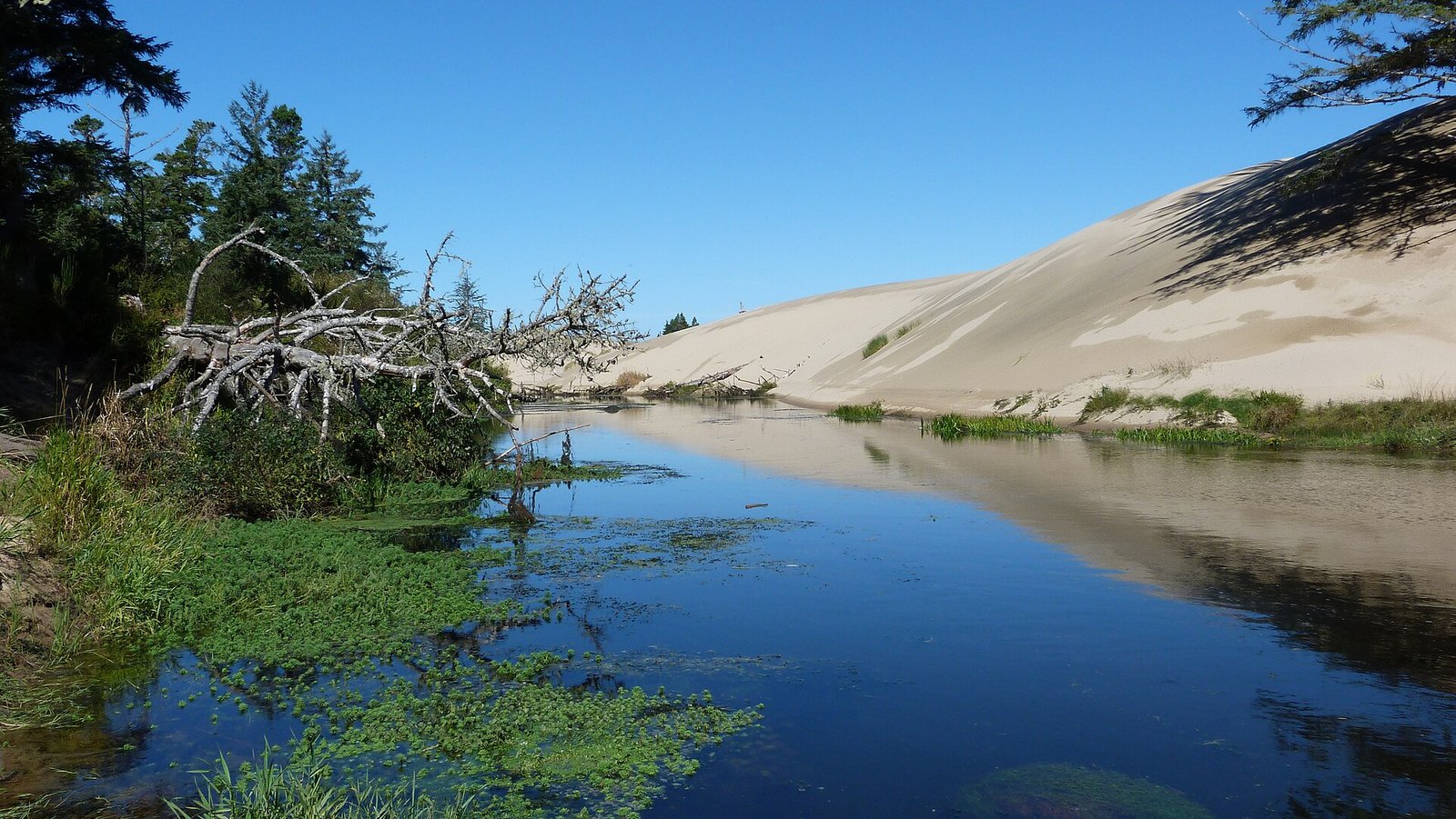 The fishing hole at Spinreel, below the Oregon Dunes