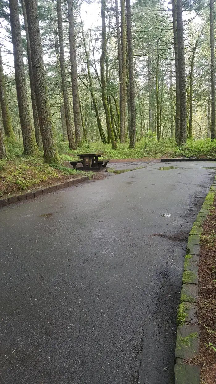 Wyeth campground Site #6