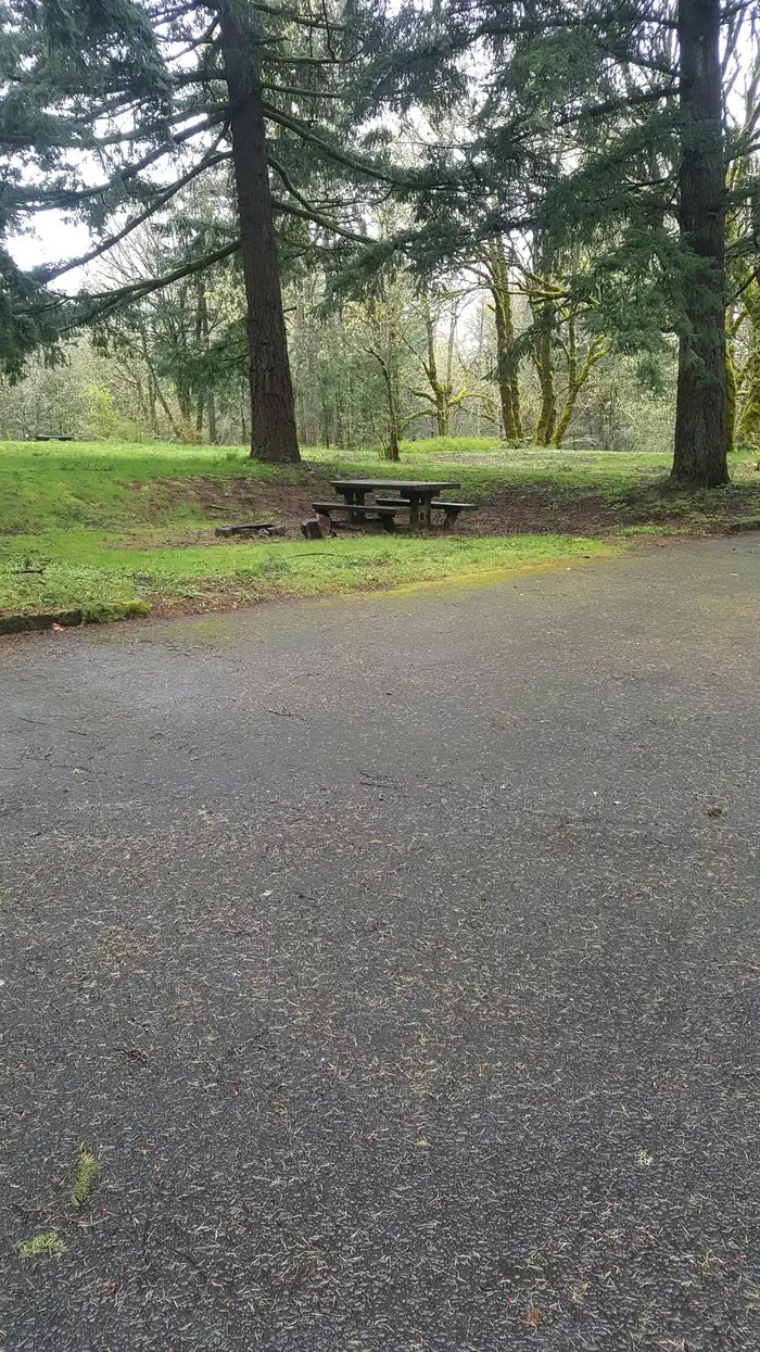 Wyeth campground Site #13 - adjacent to grassy field; room for many cars