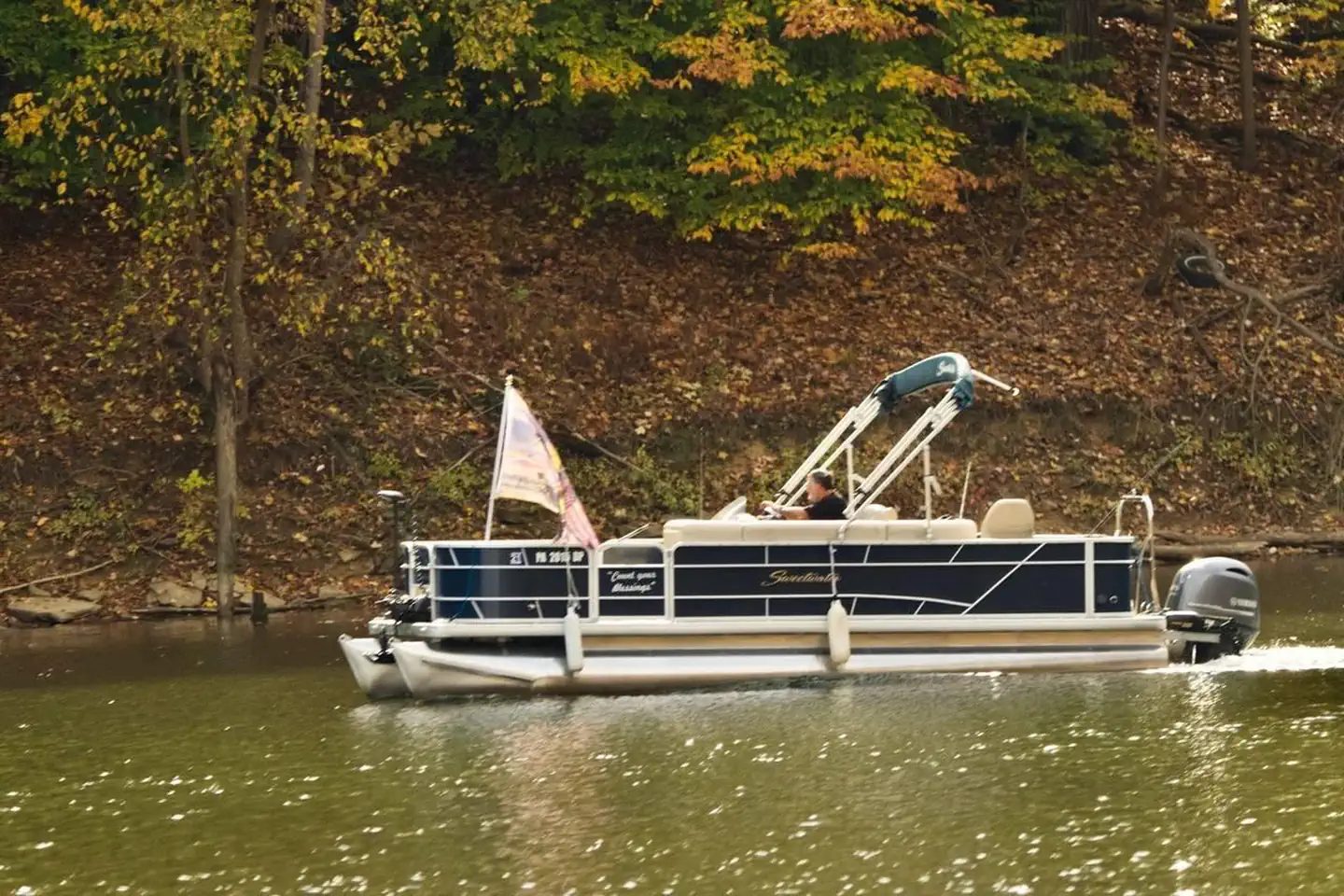 Bush Recreation Area