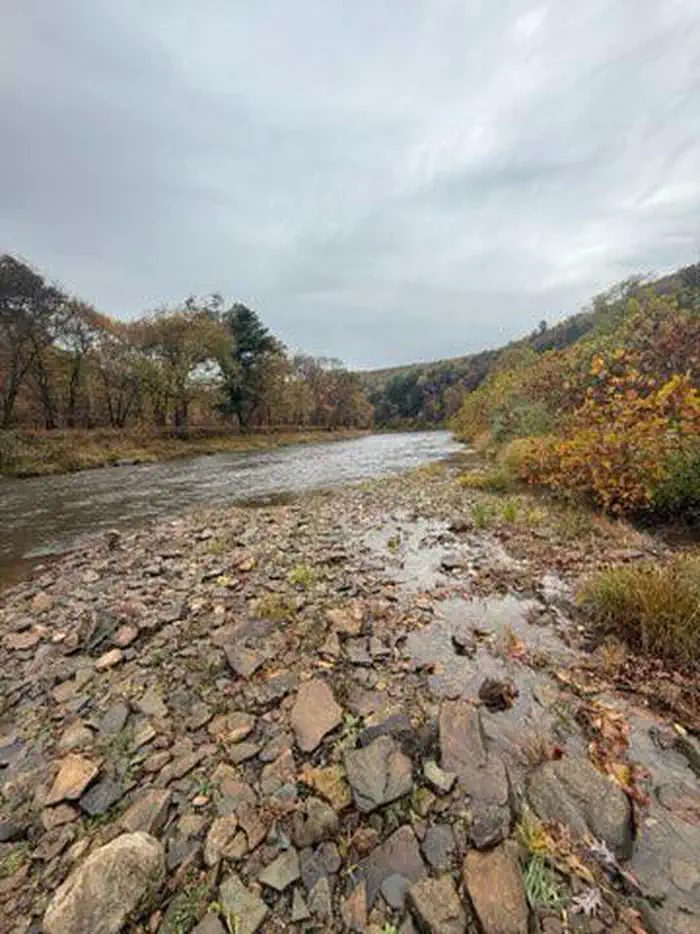 Tionesta Creek at Tionesta Lake