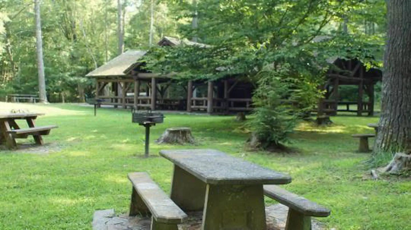 Picnic Tables in Backbone Rock Day Use Area