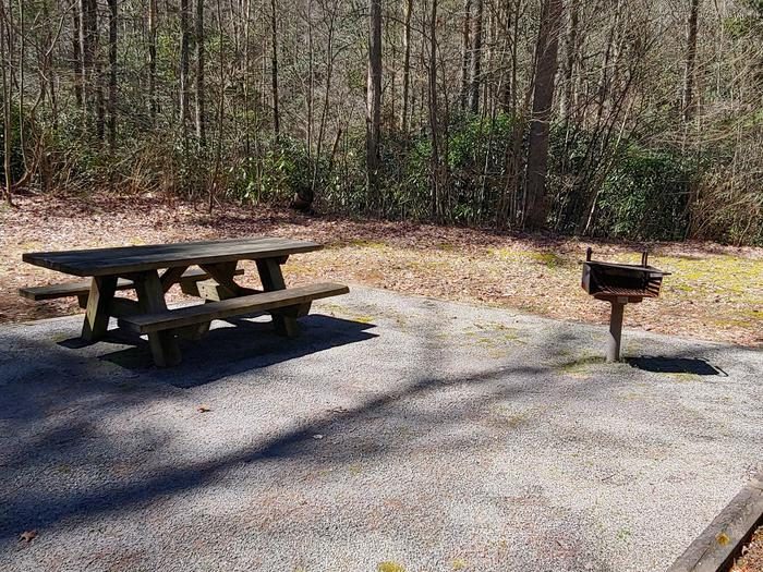 Wooden picnic table and pedestal grill
