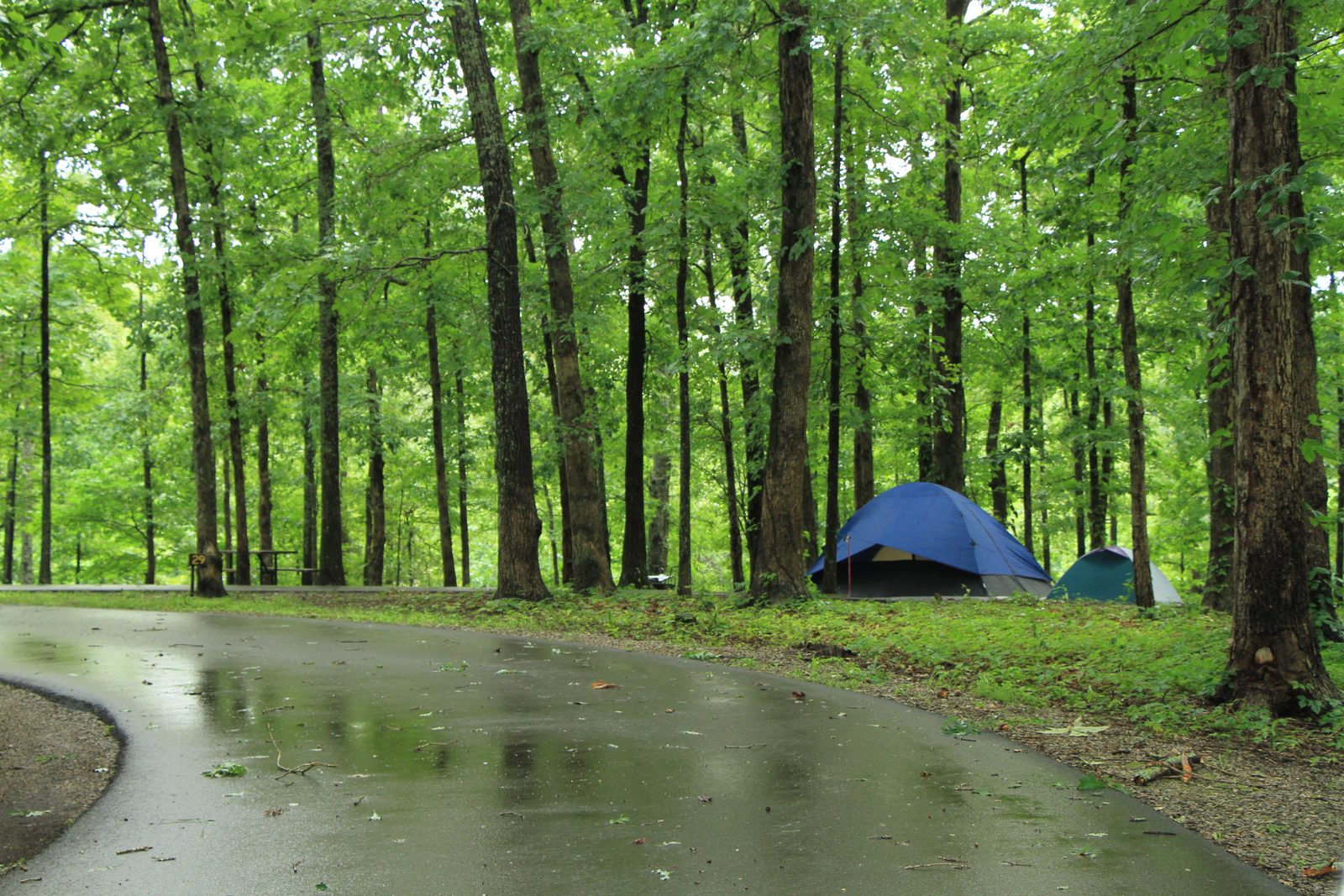 The campgroudn at the Meriwether Lewis site is a great basecamp for exploring the Natchez Trace Parkway in Tennessee
