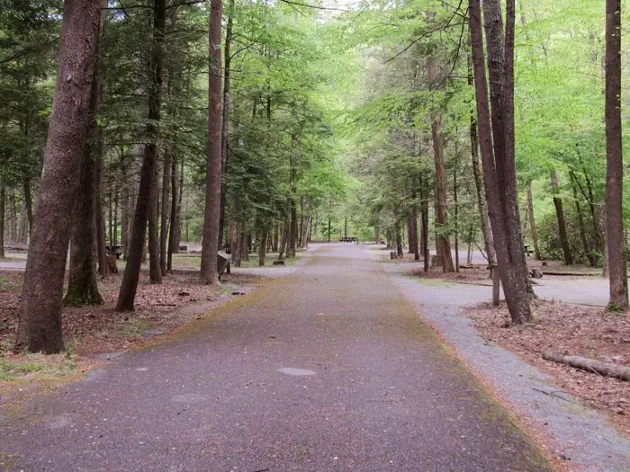 Campground Loop Road