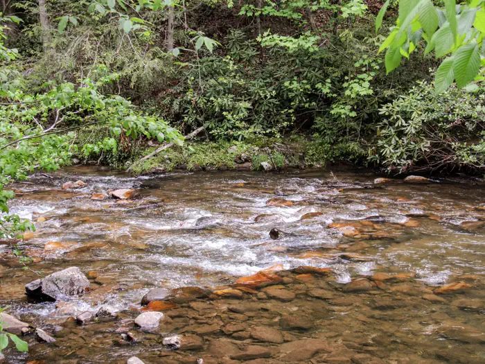 Paint Creek
