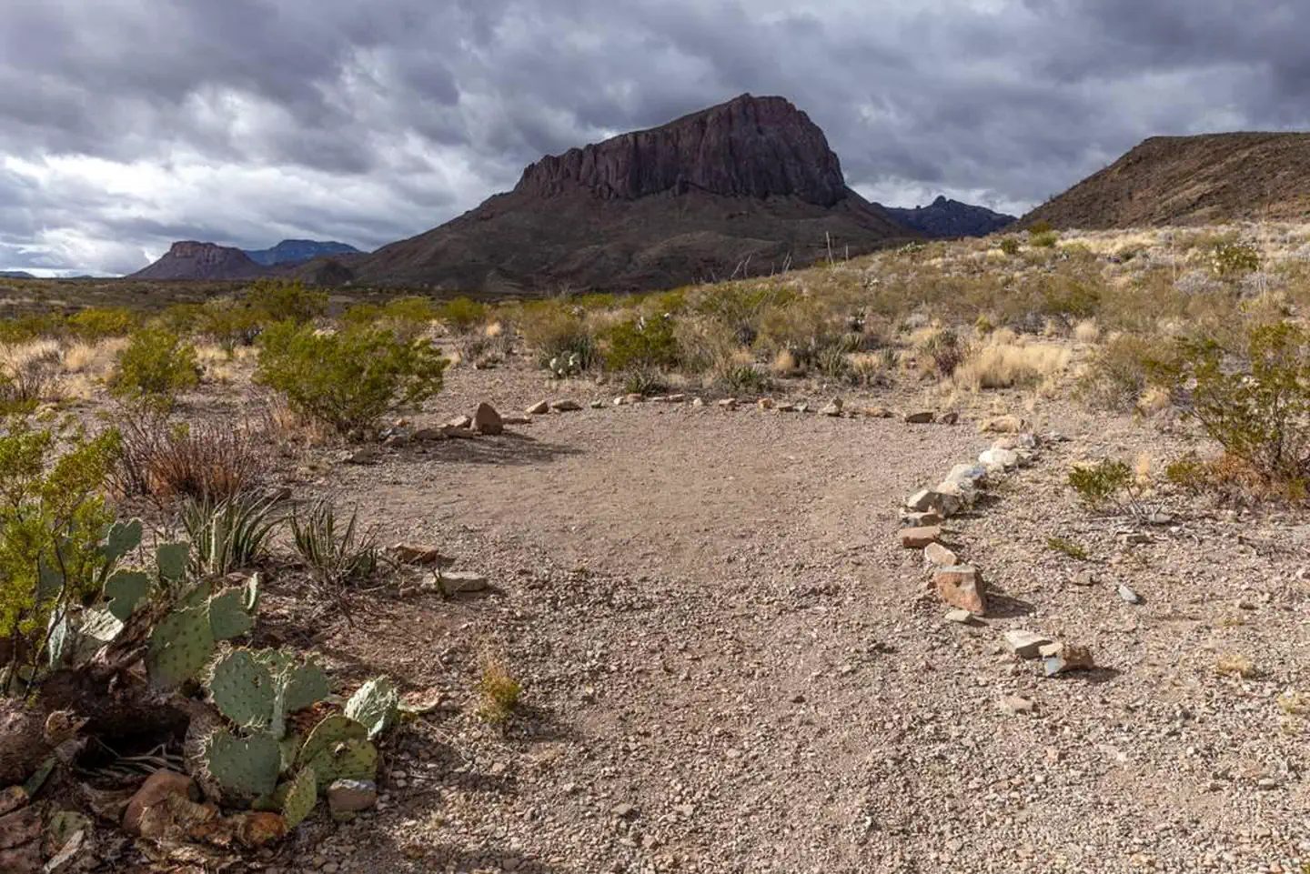 Big Bend offers designated campsites along backcountry roads