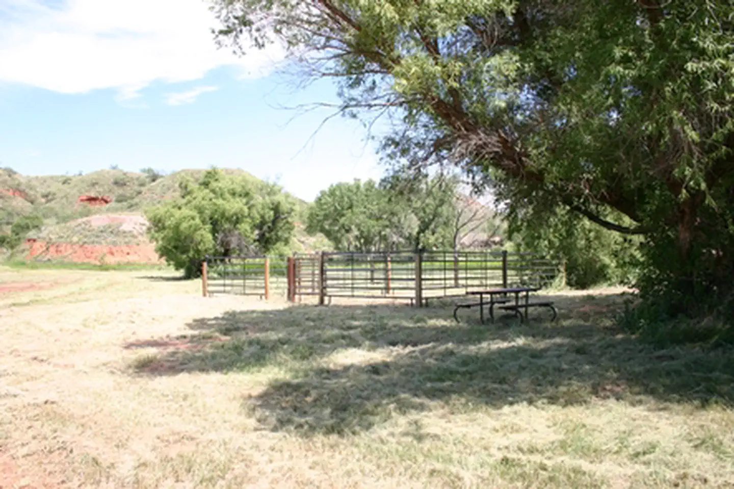 Plum Creek Horse Corral