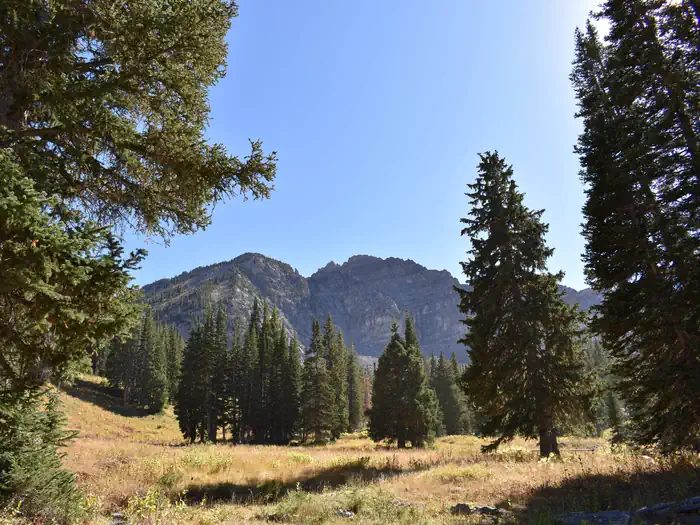 Little Cottonwood Canyon