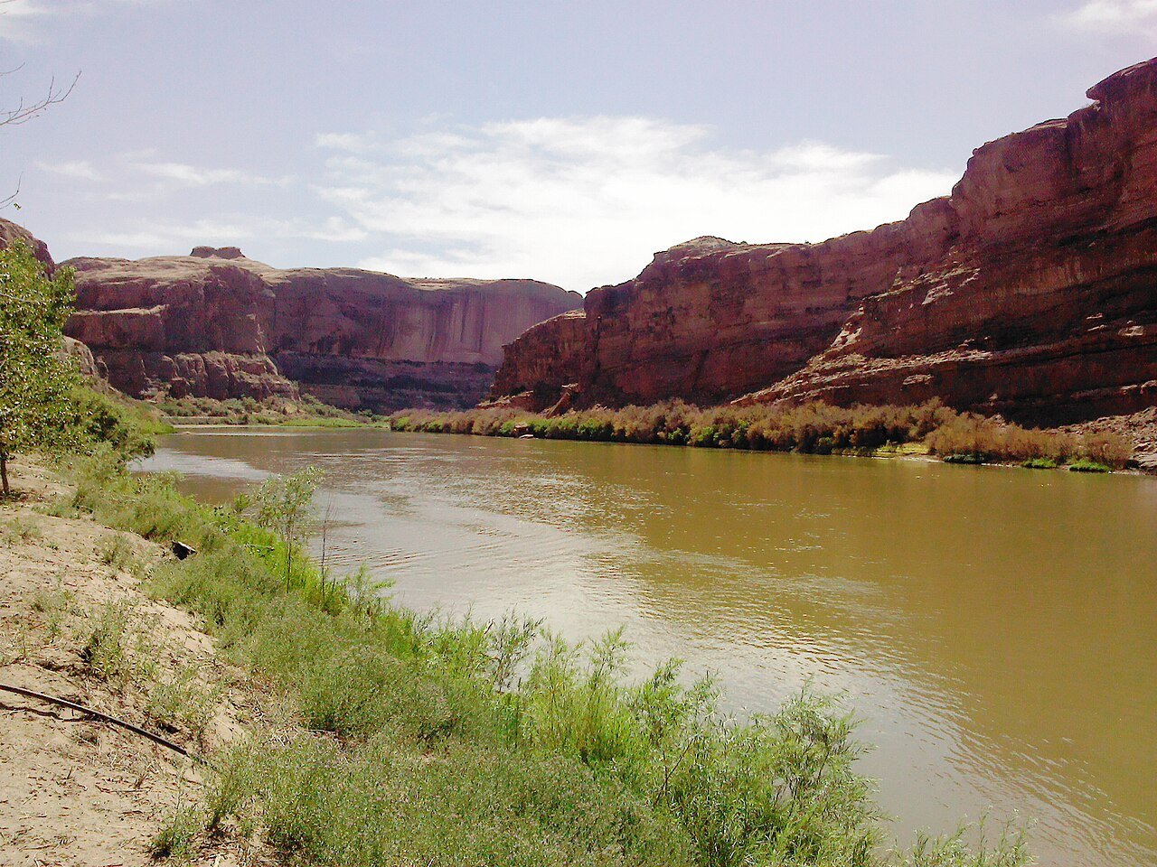 The Colorado River beside Big Bend Campground