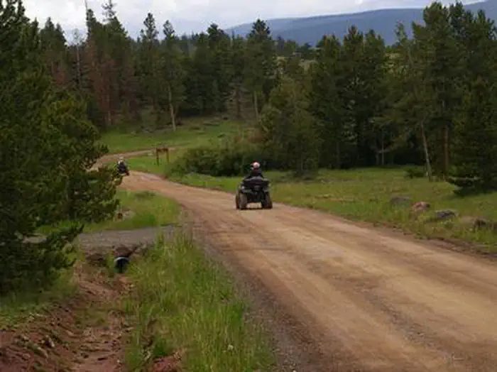 Browne Lake Area