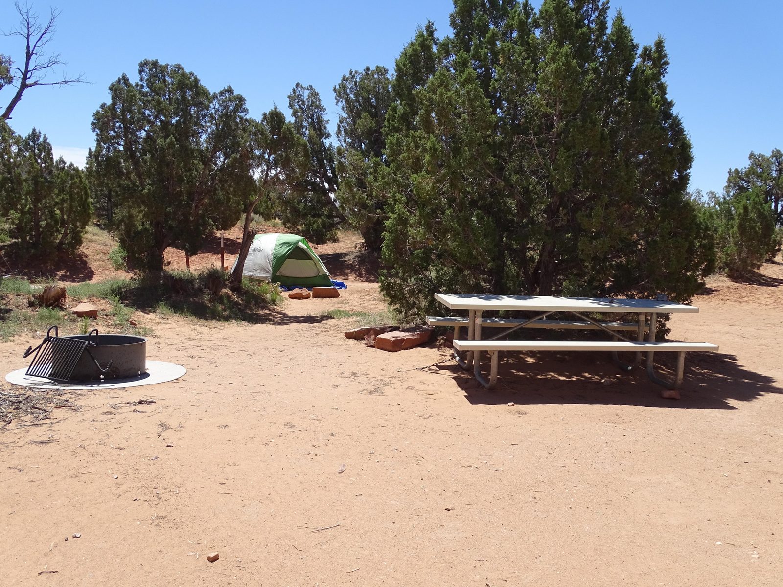 A campsite at Cedar Mesa campground