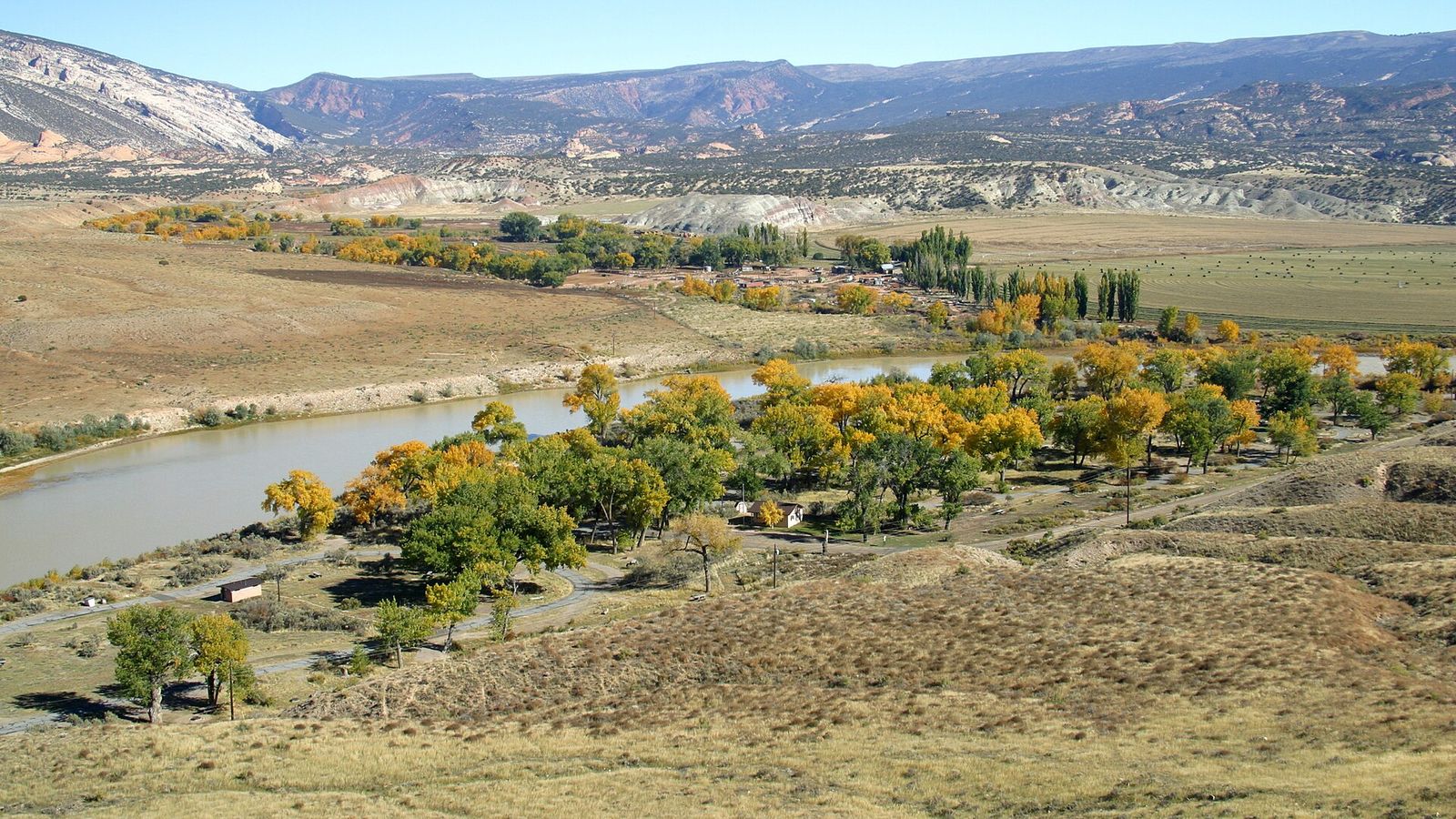 Fall cottonwoods of Green River Campground on the near bank of the Green River, looking toward Cub Creek valley