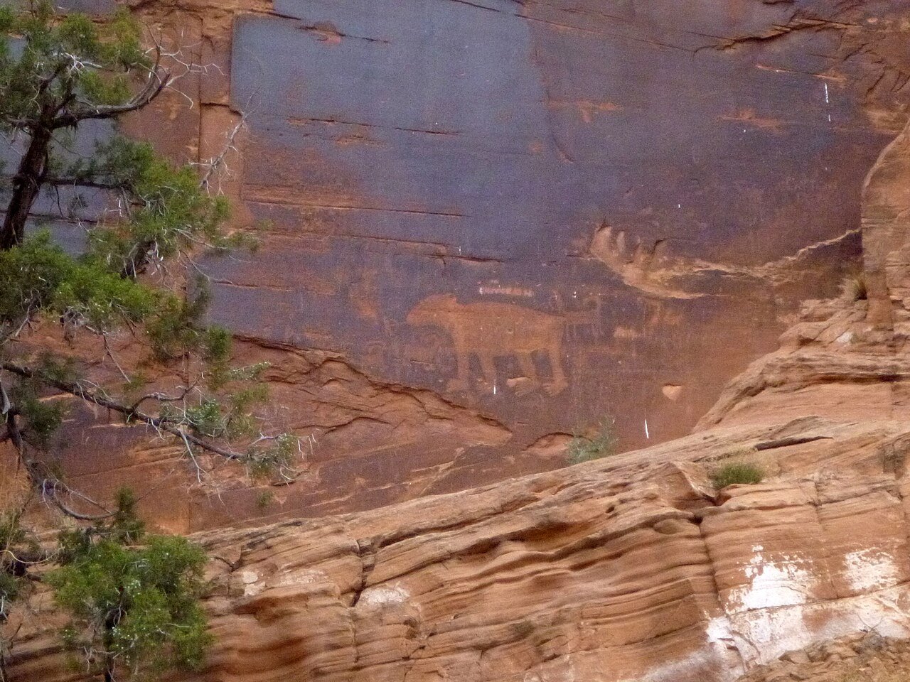 Rock art panels on the Potash Road cliffs near the campground