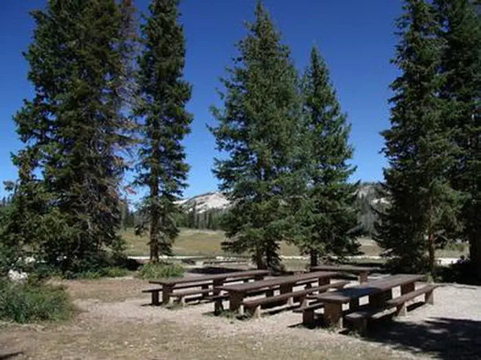 Twelve Mile Flat Campground