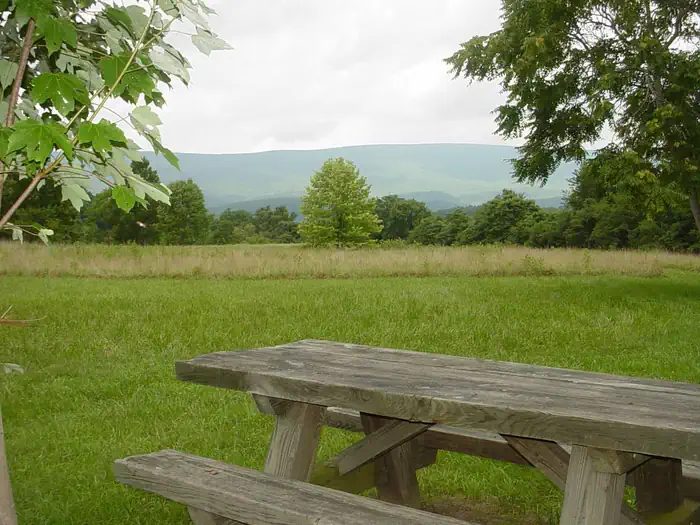 Scenic View