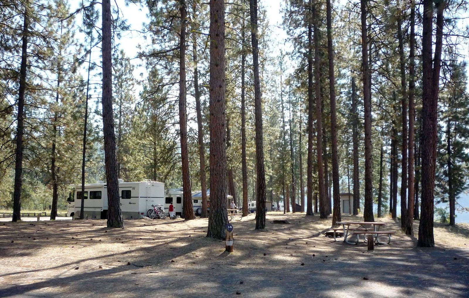 Evans is nicely shaded by Ponderosa pine trees