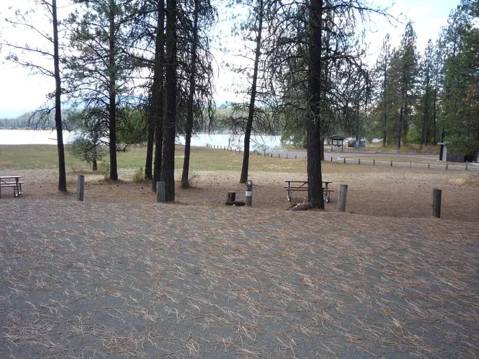 The photo shows a pine‑covered campground area with picnic tables and a fire ring overlooking a lake, with the boat launch and shoreline visible in the background