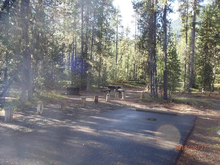 Site/Unit 1