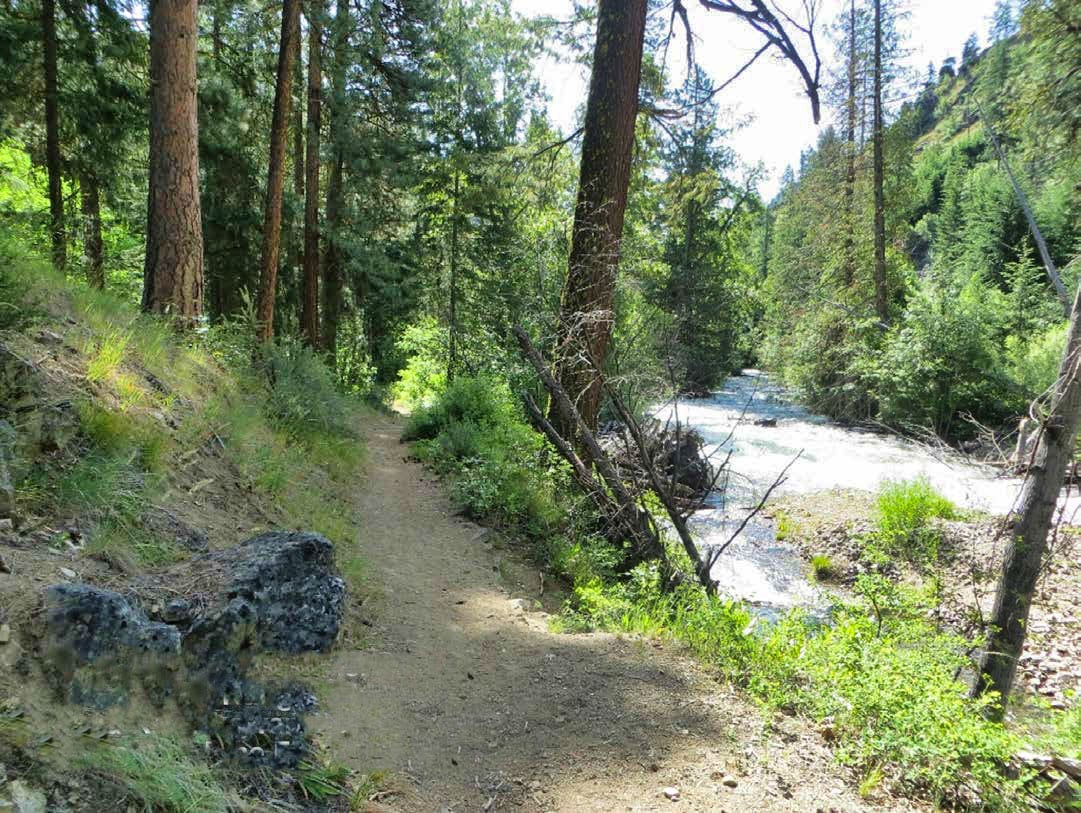 The Mad River beside the trail at Pine Flats Campground