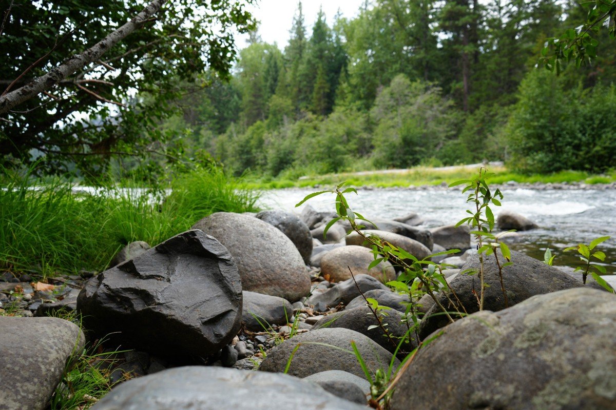 Naches River at Sawmill Flat