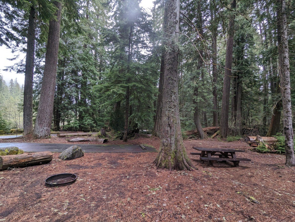 Campsite at Silver Springs Campground