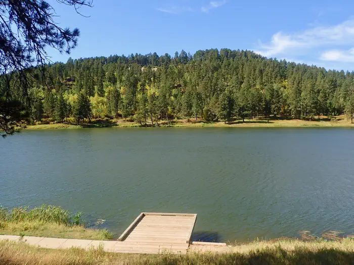 Cook Lake Dock